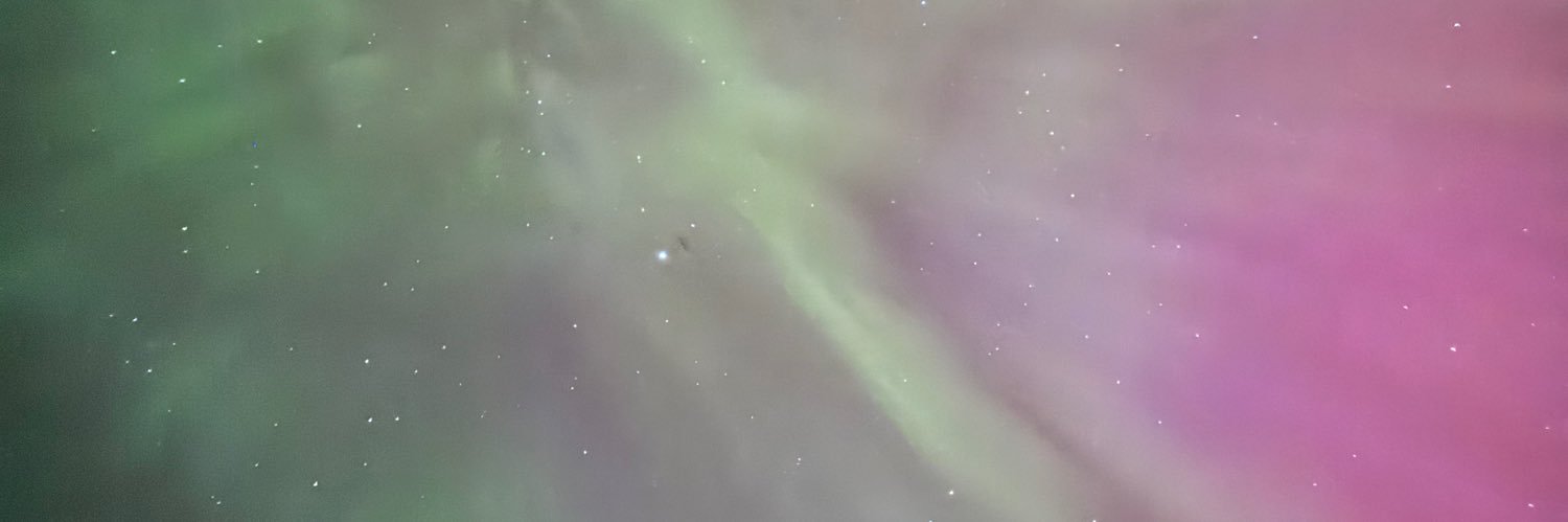 Bearly_Truth's profile banner image