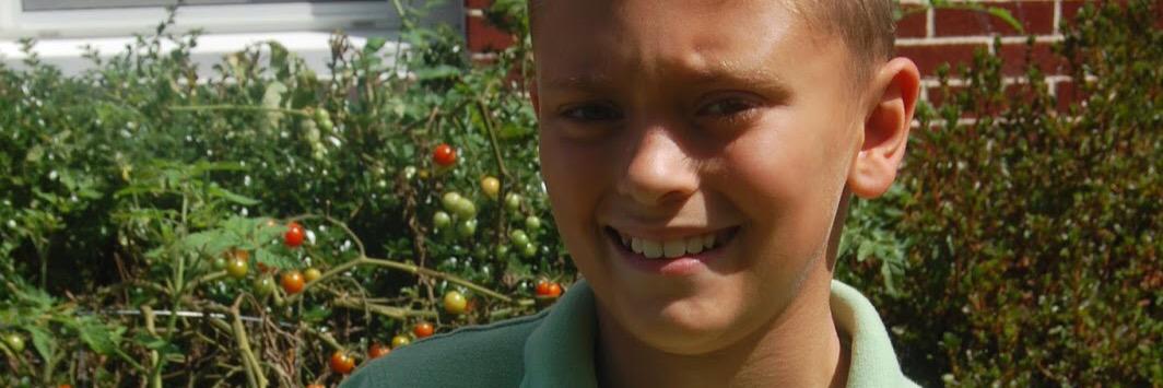 Cabbage Facts banner