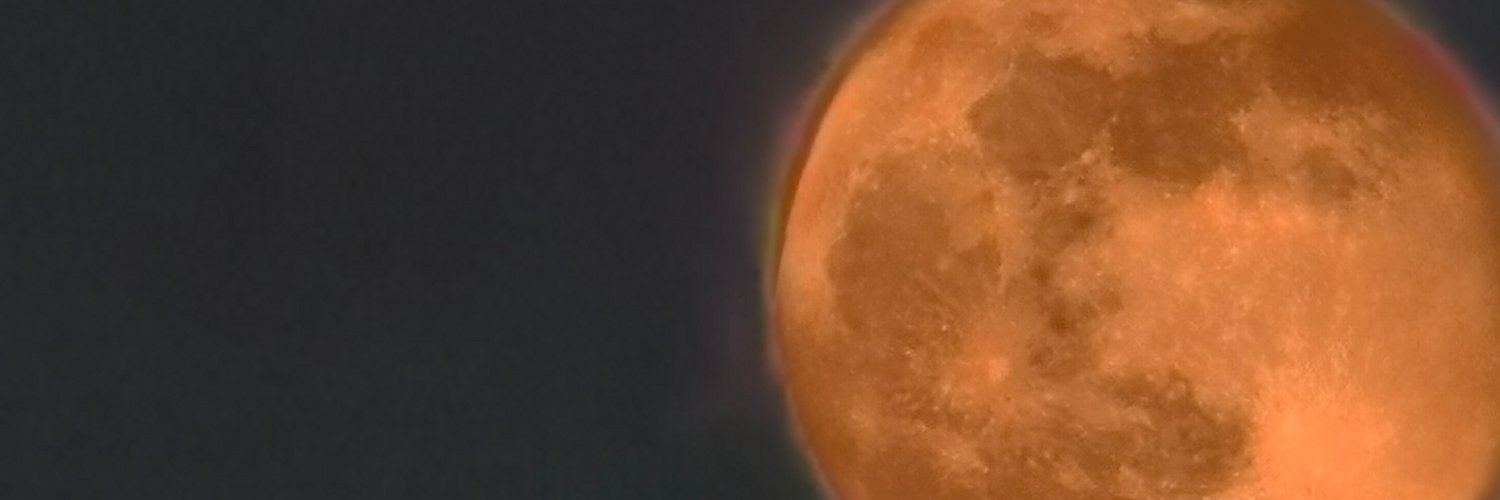 ElizabethKalic2's profile banner image