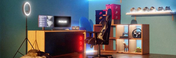 Pickleeez Profile Banner