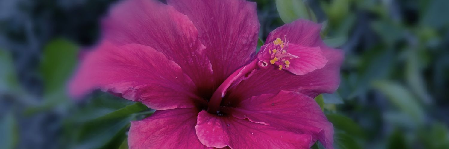 ffx29640's profile banner image