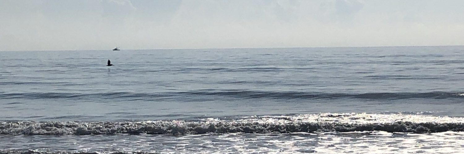 Susan Banchero banner