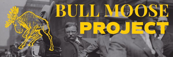 The Bull Moose Project Profile Banner