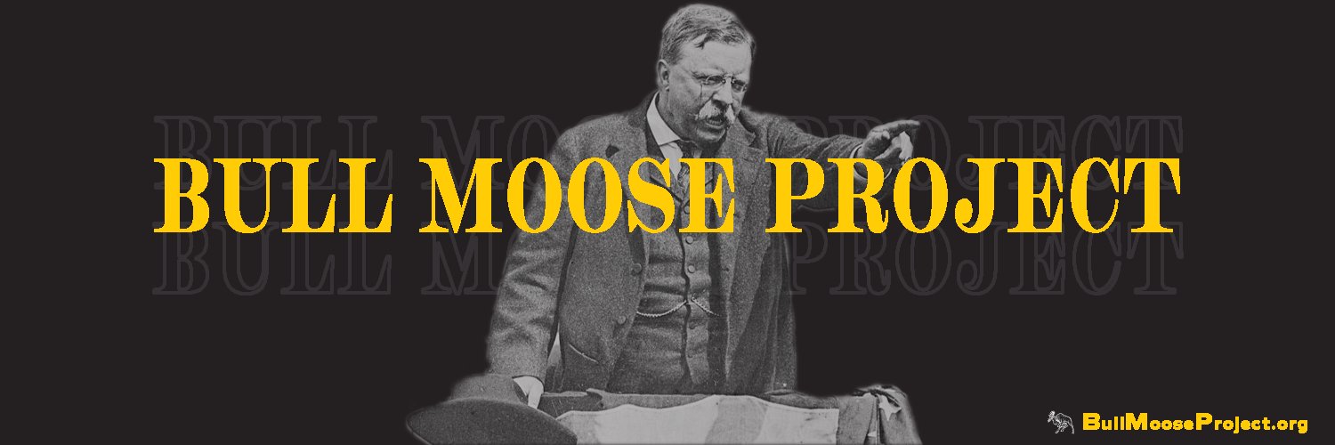 The Bull Moose Project's banner