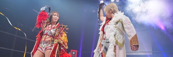 Poissonnation Profile Banner