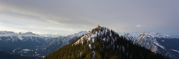 softwarecuddler Profile Banner