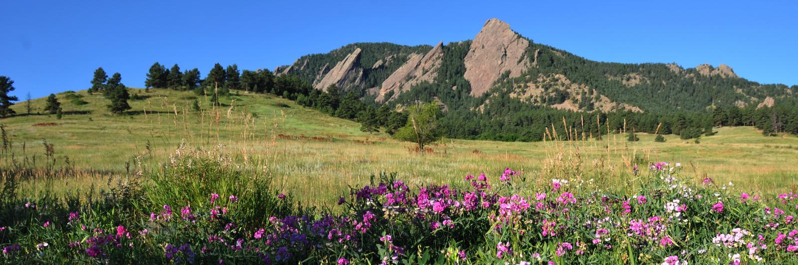 CU Boulder Jobs banner