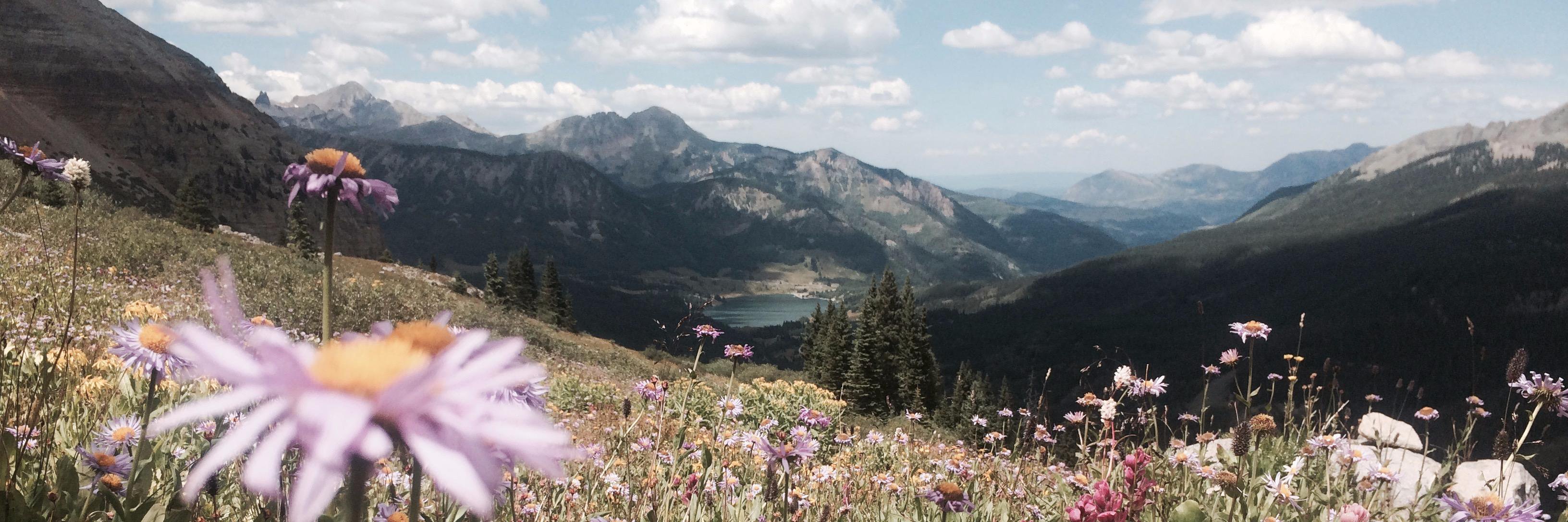 wildmountainwom's profile banner image