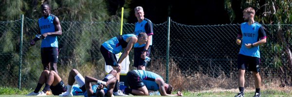 SharkeyStories Profile Banner