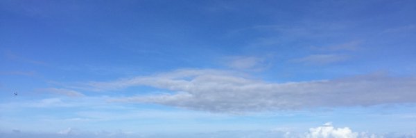 mrsgnation Profile Banner