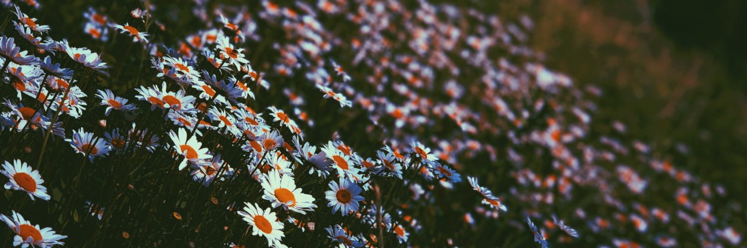 _mirandadeyoung's profile banner image