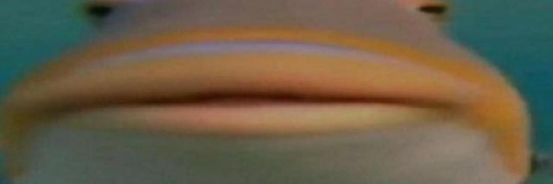 FutureCubee's profile banner image