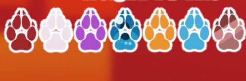 Ace the Wolf banner