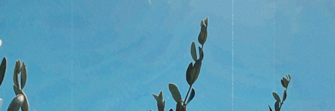 MMillochau's profile banner image