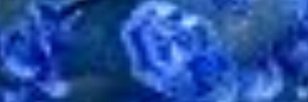 Spivonomist Profile Banner