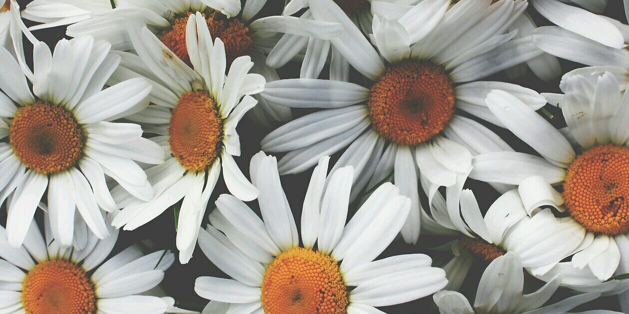 morgslloyd's profile banner image