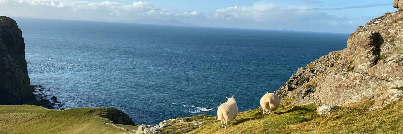 Learn German I Vorhang auf banner