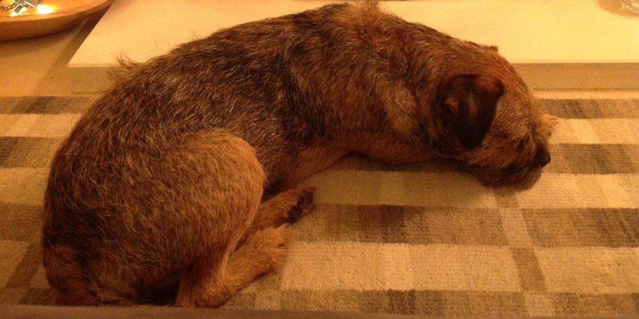 Baxter banner