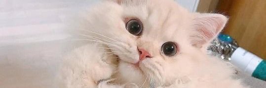 ᴺ’👙 banner
