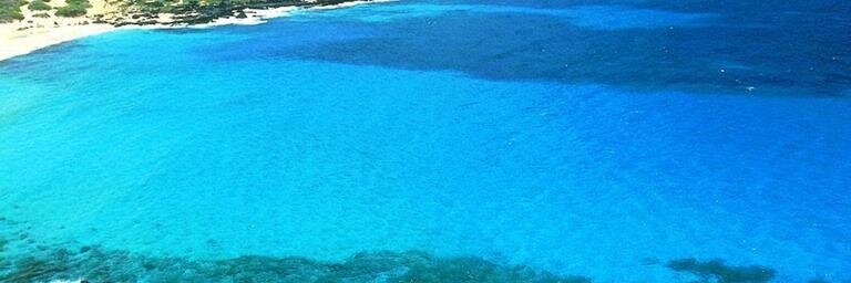 MissJTinkerbell banner