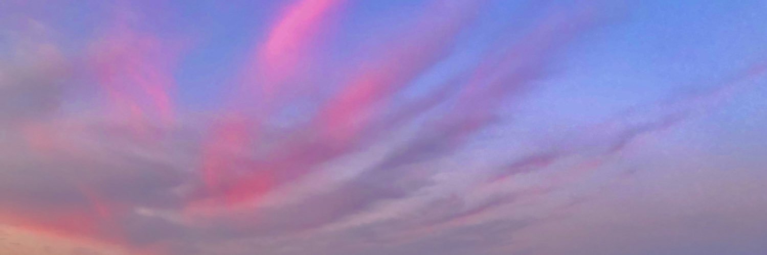 Anne Vollerthun banner