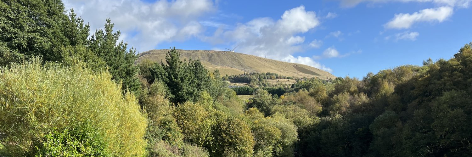 Susanna McGibbon banner