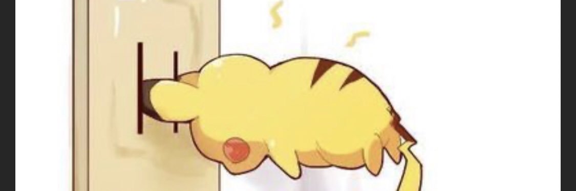 nicchi_store's profile banner image