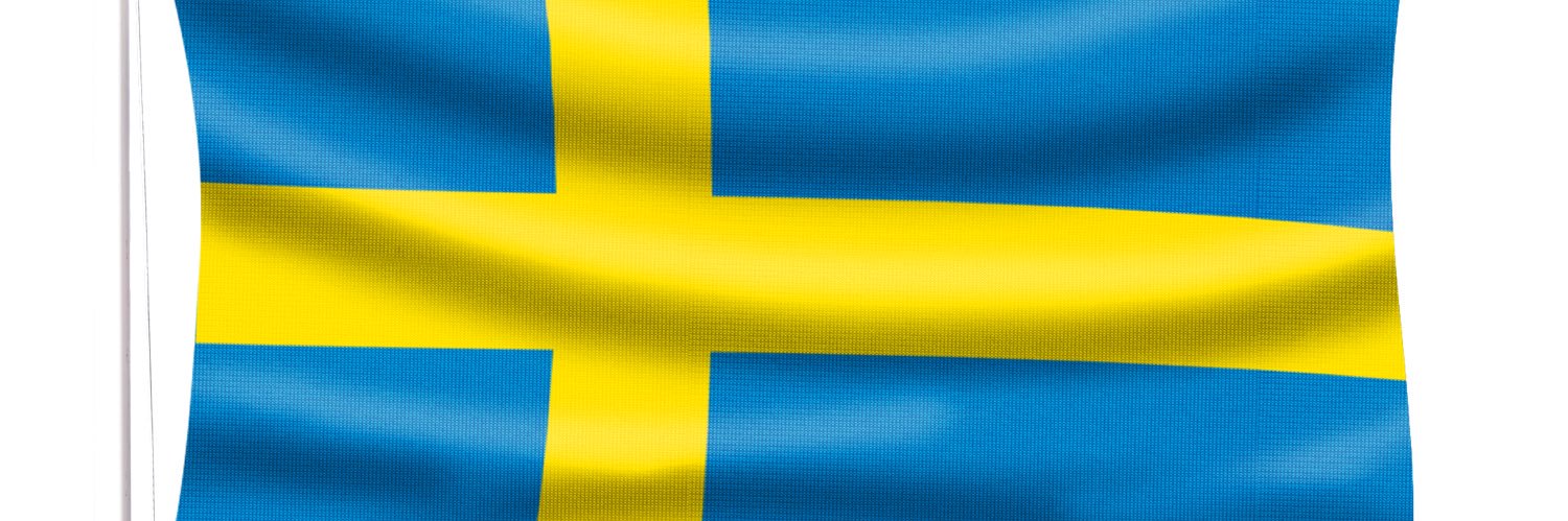 ScandiFella Romeo Papa🇸🇪🇪🇺🇺🇦's banner