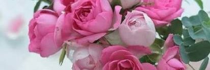 gmal55440613's profile banner image