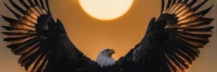 OSAS🦅's banner