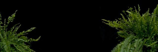StreaminCulture's profile banner image