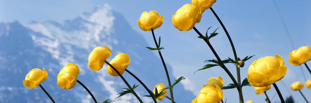 PublicityGroup's profile banner image