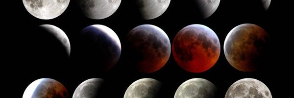 Thomas Miller banner