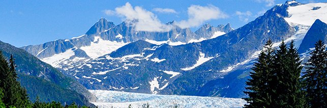 Frank J. Lexa MD MBA FACR banner