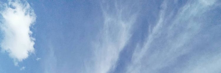 Samfya1902's profile banner image
