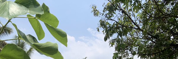 nahushdc Profile Banner