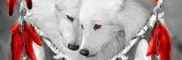 friedhelm_mosel Profile Banner