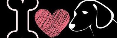 k9maggiedave's profile banner image