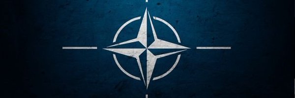 NATO Force Integration Unit in Estonia Profile Banner