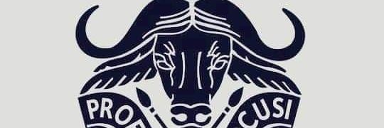 ALERTOSAMBA's profile banner image