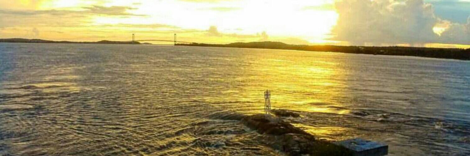 Aima82's profile banner image