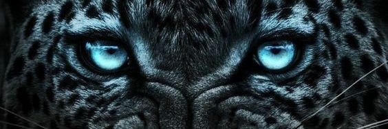 B.E.S.T M.V.P 🌐 banner