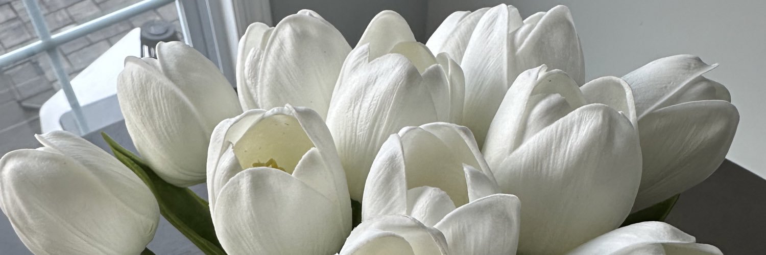 ashlynnnx's profile banner image