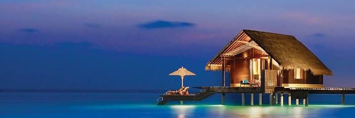 ∞ tim kerrigan ∞ banner