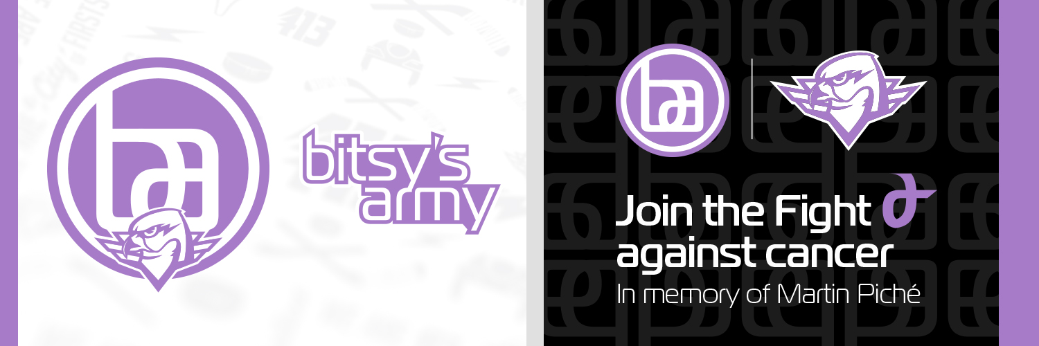 Bitsy’s Army banner