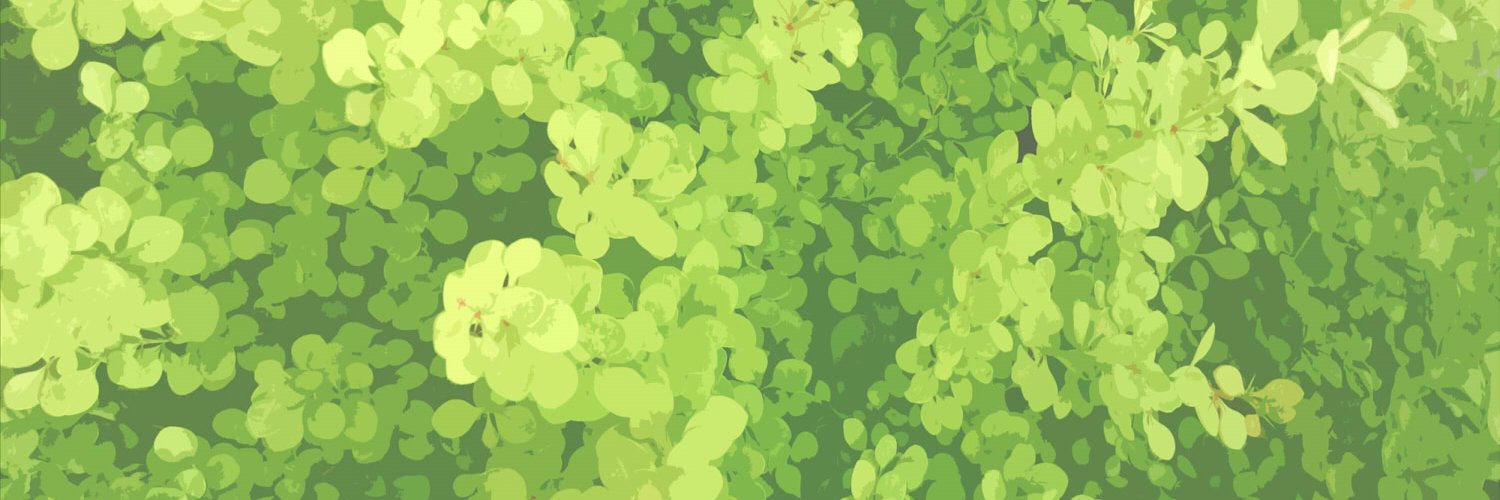 Yuizawa's profile banner image
