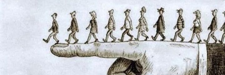 Isabel Carvalho banner