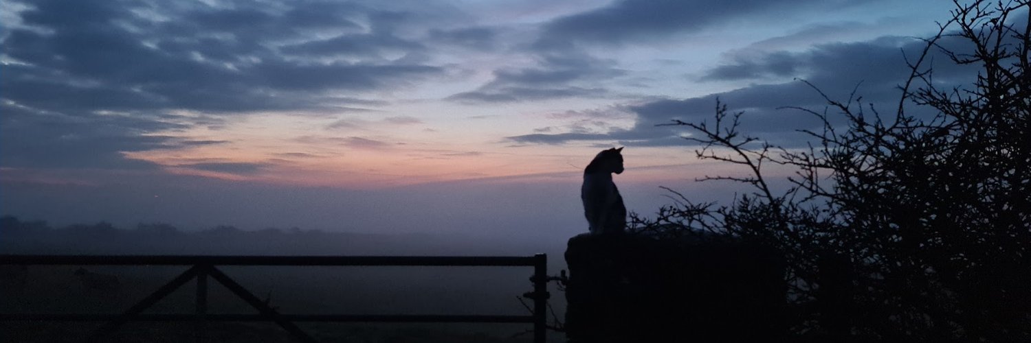 Han__Jos's profile banner image