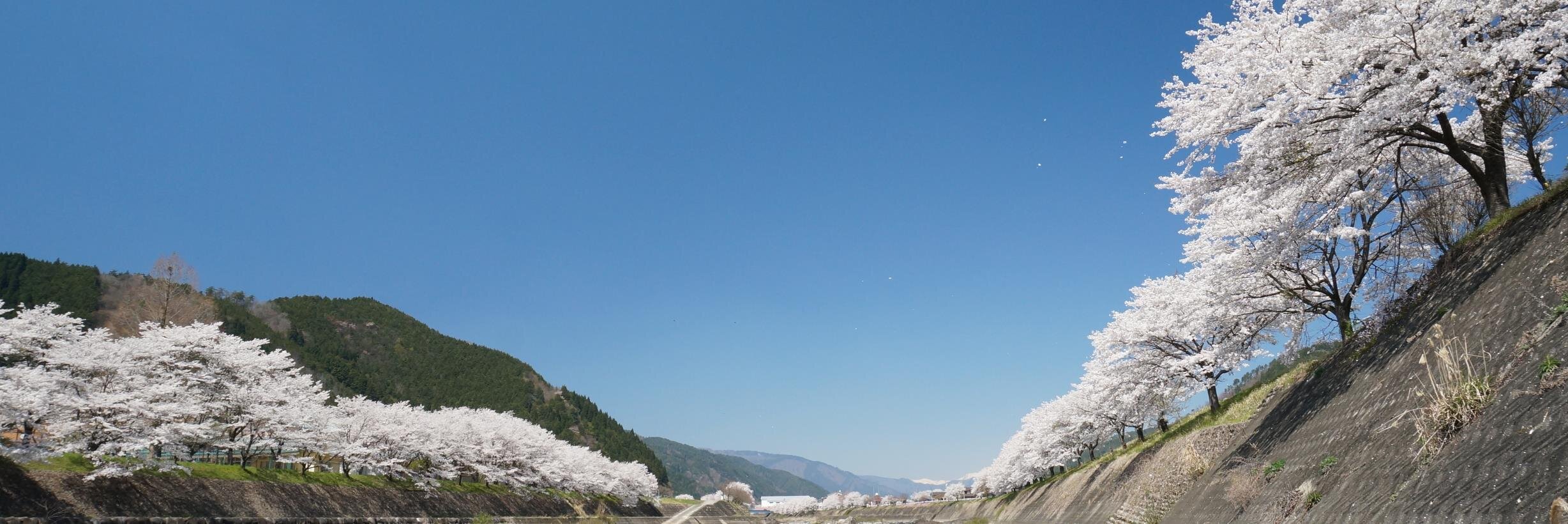 sansho328's profile banner image