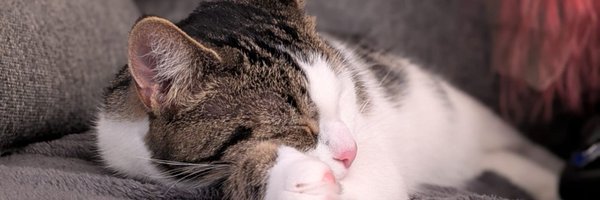 EKOcasts Profile Banner